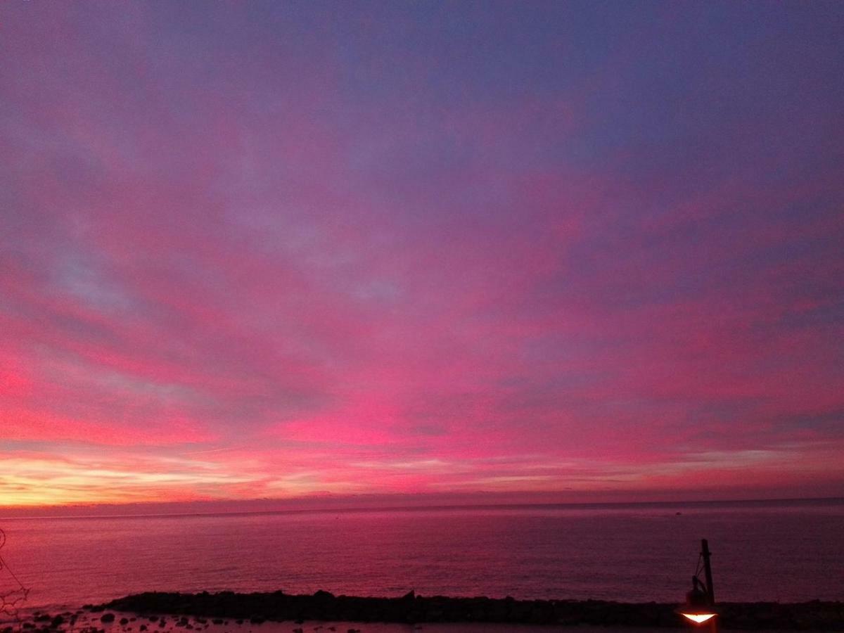 I Fiori Di Santo Stefano Daire Santo Stefano al Mare Dış mekan fotoğraf